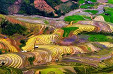 《走进乡村看小康》节目走进桂林市全州县才湾镇毛竹山村农村新业态