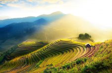 广西与东盟农业合作发展潜力后劲十足,农产品贸易规模达29.8亿美元