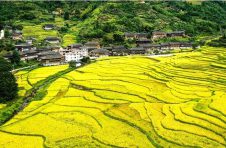 广西又有5市县获国家级绿色生态“金名片”
