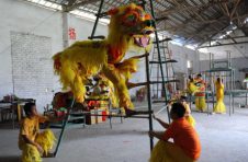 广西百色市田阳区：壮族舞狮有传人