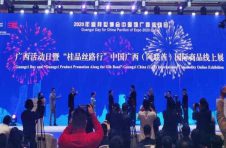 助力“桂品”弄潮“一带一路” 迪拜世博会中国馆广西活动日开幕
