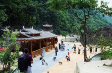 广西河池市凤山县“以猴养人”发展旅游经济小山村走上生态致富路