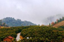 广西桂林市雁山区：乡村振兴之路 村民也是主角
