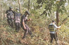 紧急救援！东航客机坠毁事故搜救进行时
