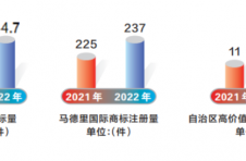 2022年广西将高标准打造知识产权发展新高地