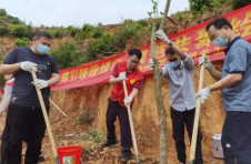 党建红引领生态绿 广西梧州1.5万人次党员干部开展义务植树