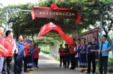 广西首个工匠茶叶品种示范基地在柳城县挂牌成立