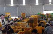 广西10小时集结4万份物资包驰援上海战疫