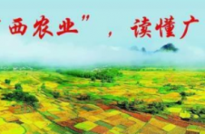 新模式 新平台 新机制 广西农业对外合作步入快车道