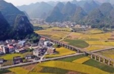 广西确定土地延包30年第一批试点县