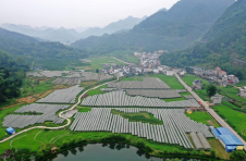 左右江革命老区：边陲老区谱写开放发展新篇