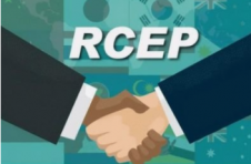 广西贸促会成立RCEP推广实施中心
