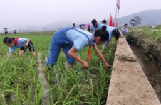 广西贺州：把课堂搬到田间地头上