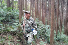 广西天峨向先军：为了青山常在 坚守深山到白头