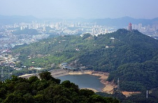 广西致力打造世界级森林康养目的地