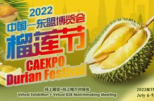 2022年中国—东盟博览会榴莲节线上举行