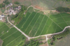 广西6年实现补充耕地指标交易15.79万亩
