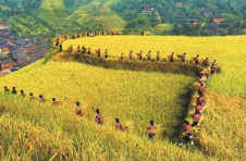 广西首个联合国世界旅游组织“最佳旅游乡村”落户龙胜大寨村